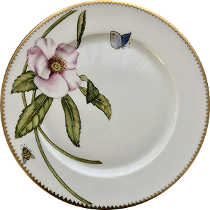 Platters 1