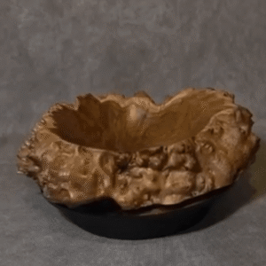 Australian Mallee Burl.